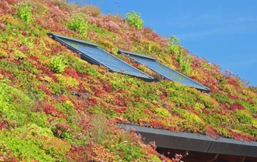 Llanhowel living roof systems
